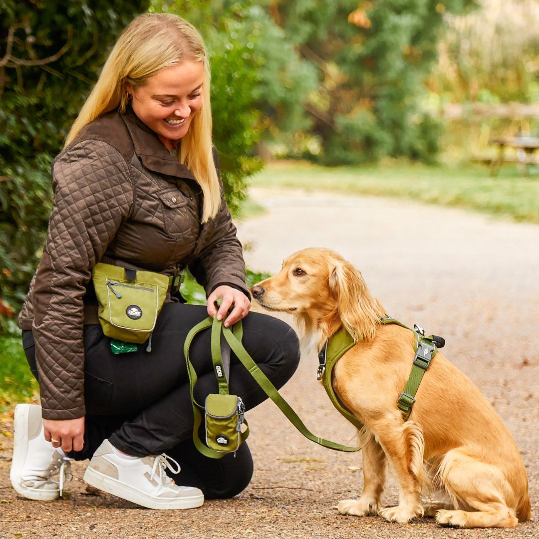 Dog Copenhagen Go Explore Treat Bag - Hunting Green Dog Copenhagen