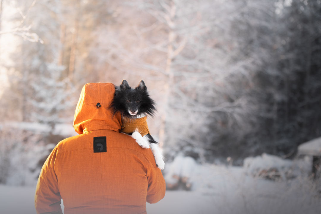 DogCoach Vinterjacka i vinterlandskap, köp online på dogmania.se