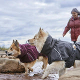 Hurtta ECO Mudventure Dog Coat - Eggplant