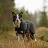 Canelana Ambassadör Ulltäcke Hund - Grå