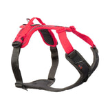 Non-stop Ramble Dog Harness - Orange