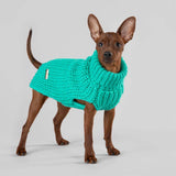 PAIKKA Knit Sweater - Green