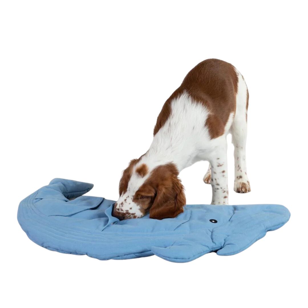 Whale Playmat for Dogs – PAIKKA