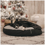 Svart hund som ligger i hundbädden Recovery Burrow Bed i färgen grå från Paikka framför en julgran hos dogmania.se