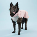 PAIKKA Recovery Winter Shirt - Pink