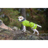 Pomppa Peru Dog Blanket - Lime