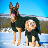 Canelana Selva Wool Coat Dog - Green