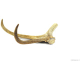 Reindeer Antler Chewing Bones