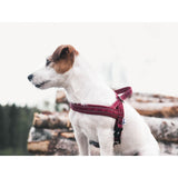 Hurtta Casual Padded Harness - River