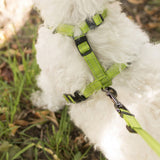 Dogman Iris Adjustable H harness with reflex - Peridot Green