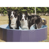 Dogman Dog Pool