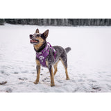 Hurtta Weekend Warrior Dog Collar - Currant