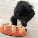 Nina Ottosson Dog Smart Composite Activation Toy - Orange