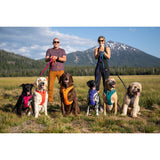 Ruffwear Front Range Hundsele - Campfire Orange