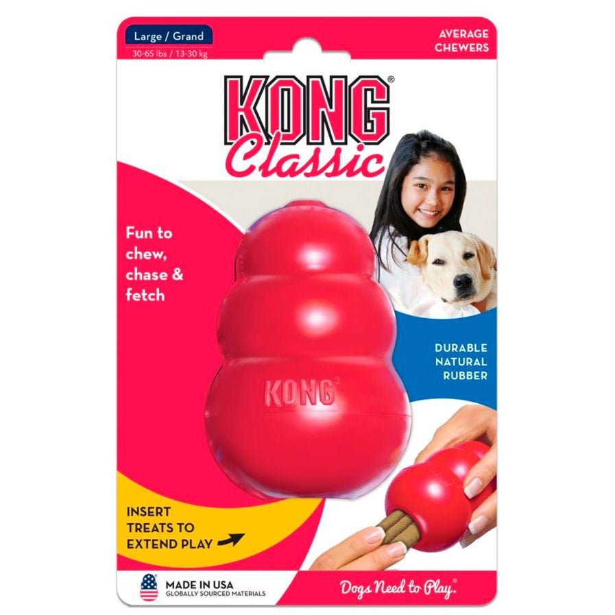 Kong AirDog Squeaker Donut Dog water and tug Toy in Small