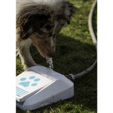 Dogman Water fountain for dogs