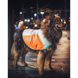 Non-stop reflective vest for dogs