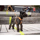 Dog Copenhagen Comfort Walk Air Harness - Black