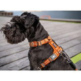 Dog Copenhagen Comfort Walk Air Harness - Orange Sun