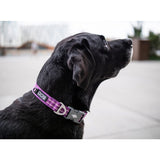 Dog Copenhagen Urban Style Collar - Purple Passion