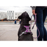 Dog Copenhagen Comfort Walk Pro Harness - Hunting Green