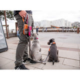Dog Copenhagen Pouch Organizer - Wild Rose