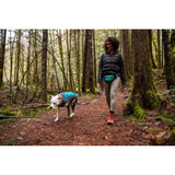 Ruffwear Home Trail Hüfttasche – Aurora Teal