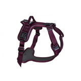 Non-stop Ramble Dog Harness - Purple