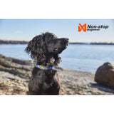 Non-stop Tumble Collar Dog Collar - Blue