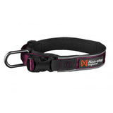 Non-stop Roam Collar Dog Collar - Purple