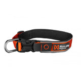 Non-stop Roam Collar Dog Collar - Orange