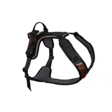 Non-stop Rock Harness