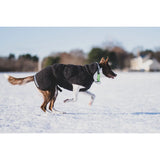 Canelana Ambassadör Ulltäcke Hund - Grå