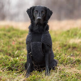 Canelana Ambassadör Ulltäcke Hund - Grå