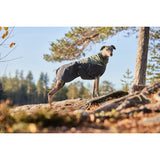 Non-stop Glacier Wool Jacket Wool Blanket Dog 2.0 - Green/Grey