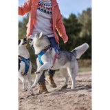 Hurtta Weekend Warrior Warming dog harness ECO - Bilberry