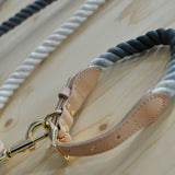 Companion Dog Collar Rope