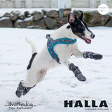 FinNero Halla Booties Hundskor, 4-pack - Grey