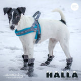 FinNero Halla Booties Hundeschuhe, 4er-Pack – Grau