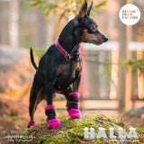 FinNero Halla Booties Hundeschuhe, 4er-Pack – Pink