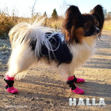 FinNero Halla Booties Dog Shoes, 4-pack - Pink