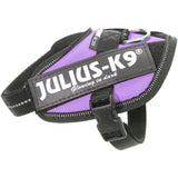 Julius K9 IDC Harness - Purple