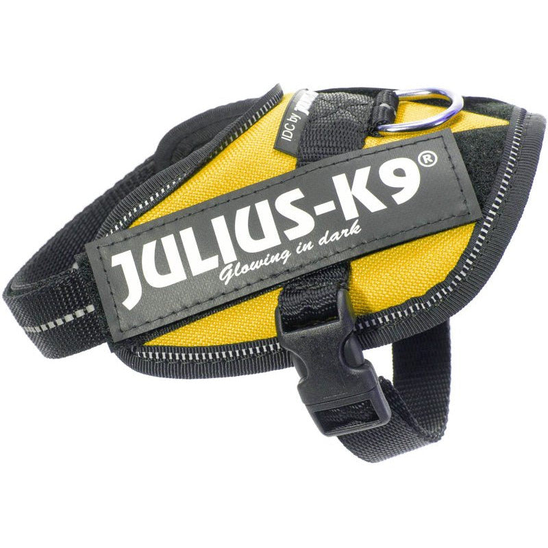 Julius K9 IDC Sele - Gul