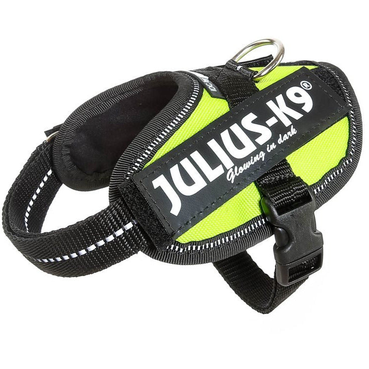 Julius K9 IDC Harness - Neon Green