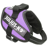 Julius K9 IDC Harness - Purple