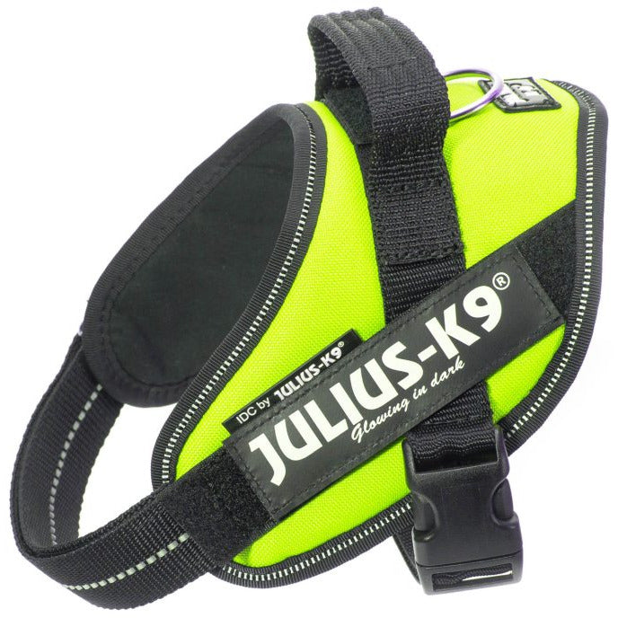 Julius K9 IDC Sele - Neongrön