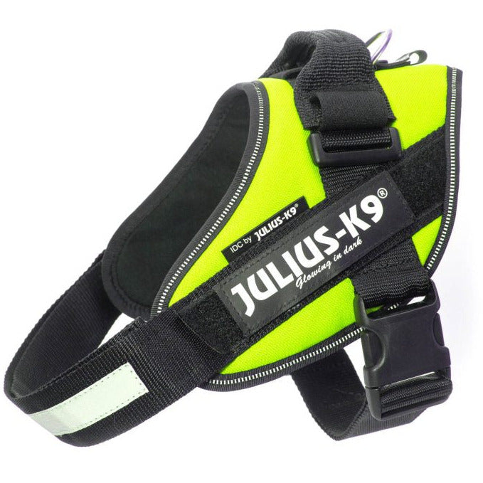 Julius K9 IDC Harness - Neon Green