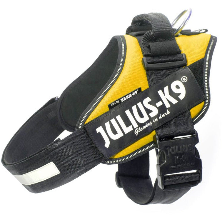 Julius K9 IDC Harness - Yellow