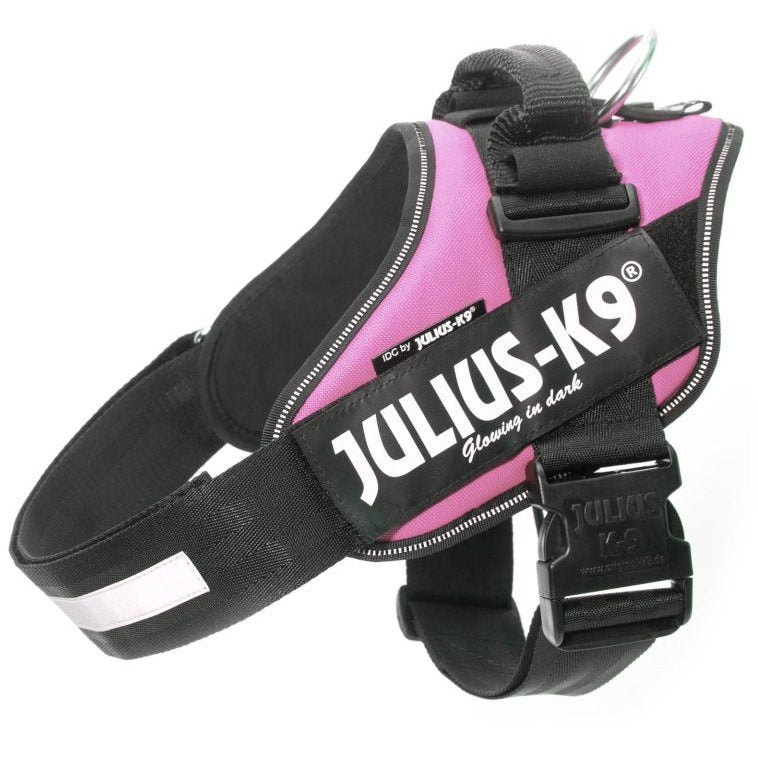 Julius K9 IDC Harness - Pink