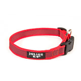 Julius K9 Color & Gray Halsband - Röd/Grå